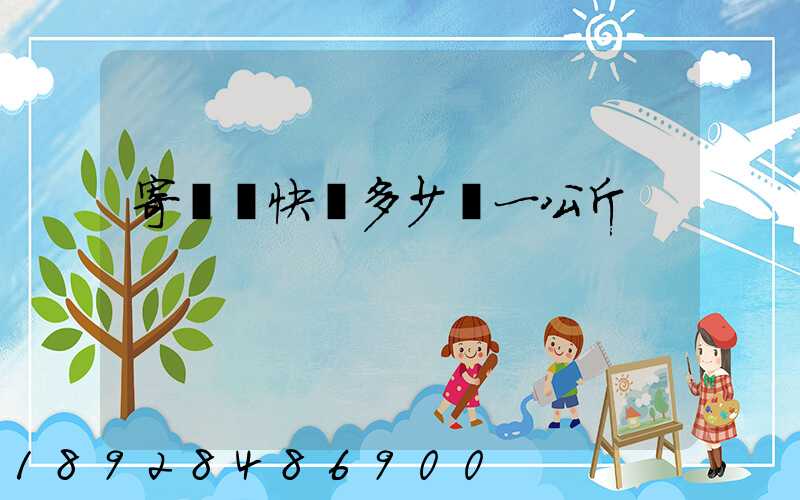 寄國際快遞多少錢一公斤